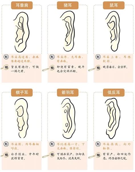 耳朵白 面相|面相耳朵图解【最详细版】 – 杨易德全集官网